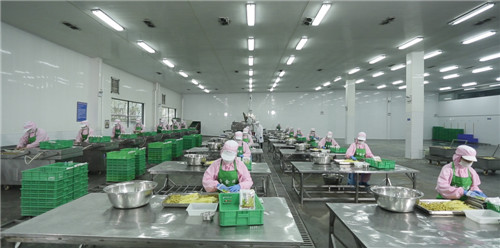 洪雅台资企业一品源食品公司包装车间.jpg