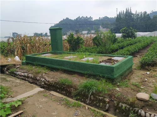 洪雅县止戈镇已建成投用的生活污水处理池.jpg