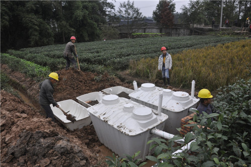 洪雅县中山镇建设分离式人工湿地(资料图片).jpg
