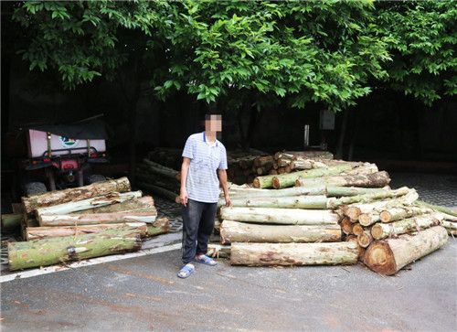 前锋区公安局破获一起滥伐林木案