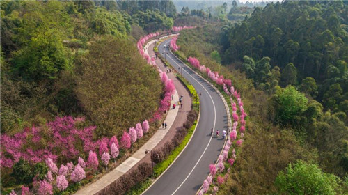 绿心花海.jpg