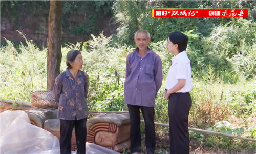 兴隆镇：贯彻落实全会精神抓好近期重点工作