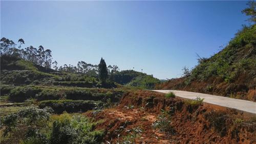 青神县玉蟾寺村：因地制宜兴产业 美化环境乐民心