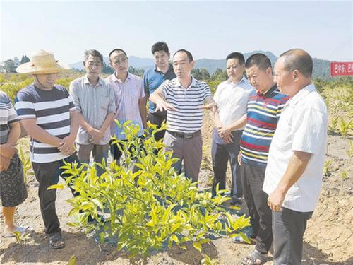 以科技创新助力乡村振兴