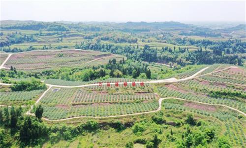 岳池县成功创建国家农村产业融合发展示范园