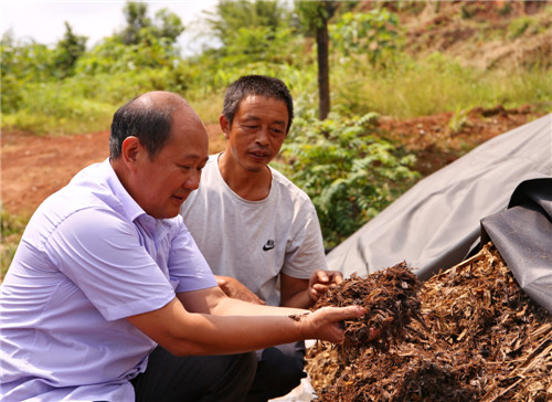 纳溪区：秸秆变废为宝  肥了土地富了农家