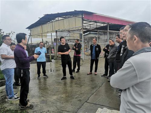 公义镇：召开农村生活污水治理现场会