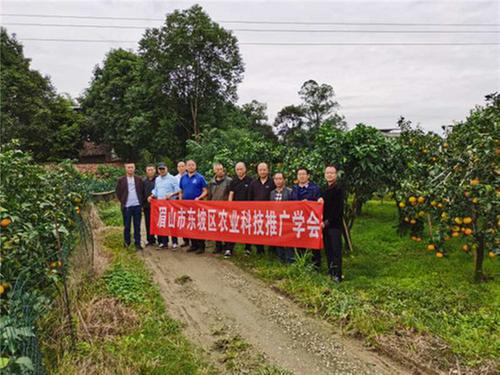 东坡区：农业科技推广学会送技术下乡