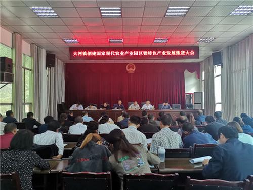 大河镇：召开创建国家农业现代产业园区推进大会