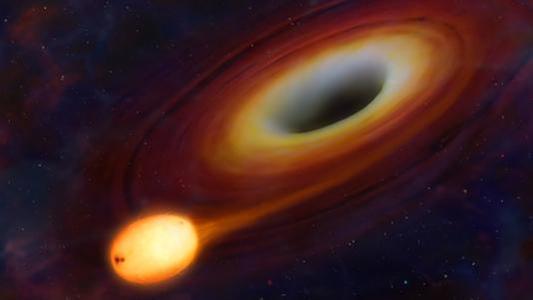 一颗恒星被黑洞撕成“意大利面条”　
