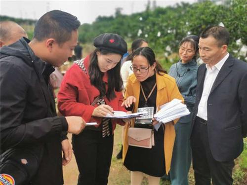 白果乡：开展椪柑套袋技能竞赛