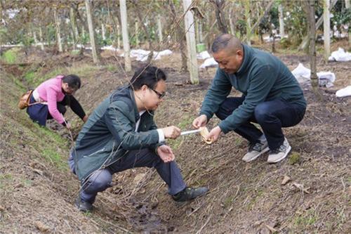 彭山区顺利通过血吸虫病消除达标省级考核评估