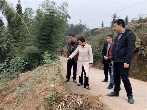 爱心企业资助将军镇保坪村巩固脱贫成效