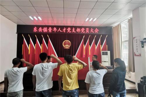 东岳镇：以案促改规范党员发展