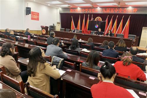 沿口镇传达学习党的十九届五中全会精神