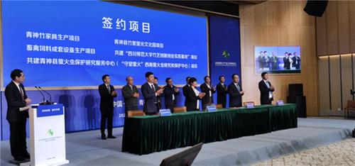 青神县：打造“竹里荧光”新名片
