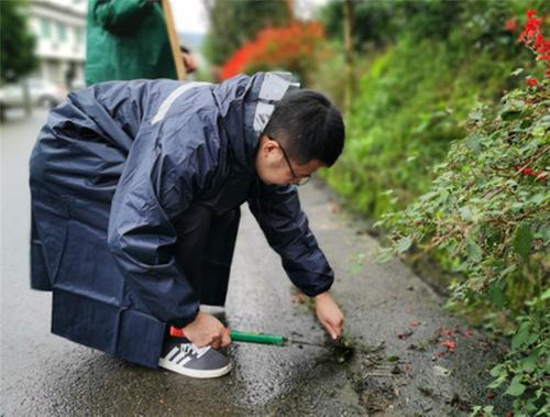 洪雅县：改善农村人居环境 绘就美丽乡村画卷
