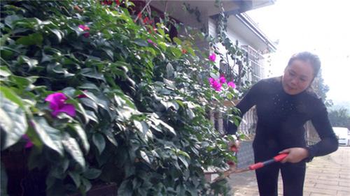 白果乡:擂响全面推进美丽乡村建设战鼓