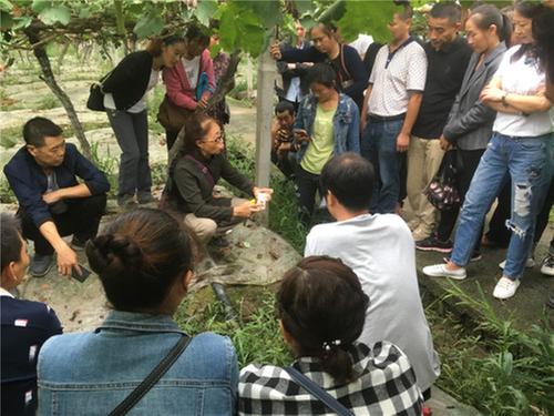 眉山市彭山区葡萄种植培训班开班