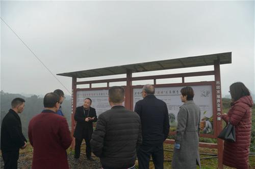 洪雅县：举行茶文化与茶产业融合发展研讨会