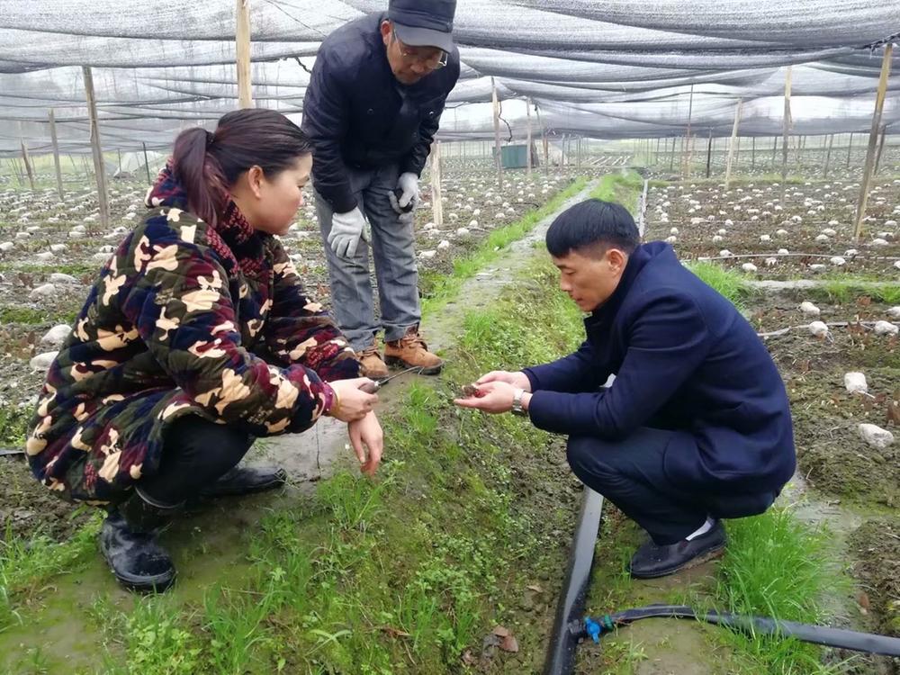功成不必在我 功成必定有我