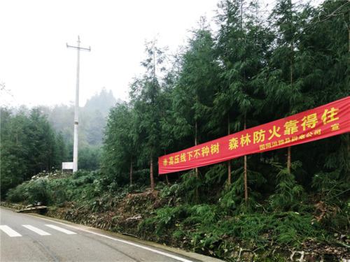 洪雅县：开展电力“廊道”清理工作