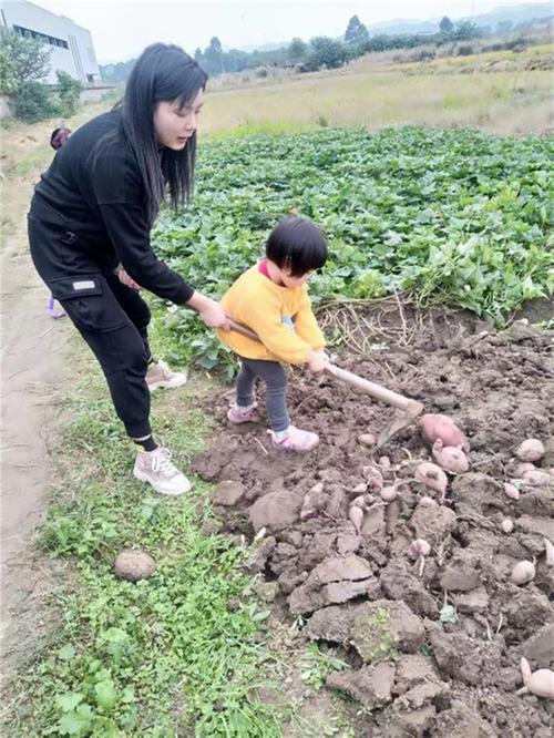 天府新区眉山片区：青龙一小开展“美好食光”校园系列活动