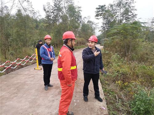 武胜县供电公司：强化风控平台运用落地