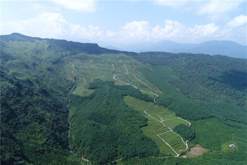 一建二调一推进探索出“零碳农业”洪雅经验