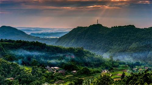 青神县以竹富民、以竹绿景