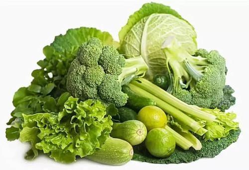 要想蔬菜苗子壮 防病措施需做好