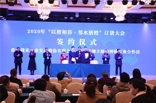 邻水县举行2020“以‘橙’相待·邻水脐橙”订货大会  现场销售脐橙2.1万吨