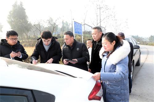 东岳镇：山水林田湖草项目建设如火如荼