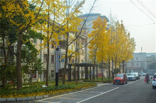 彭山区：“老”小区改出“新”生活