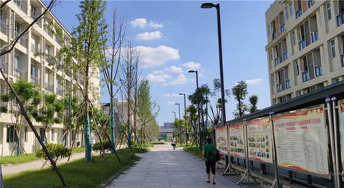 彭山区锚定建设现代化成都都市圈副中心成眉同城率先突破区、“中强”核心增长极奋斗目标
