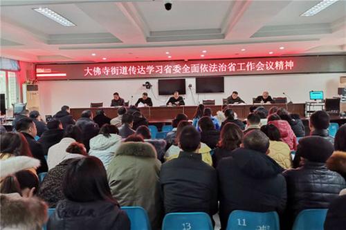 前锋区：大佛寺街道学习贯彻全面依法治省会议精神