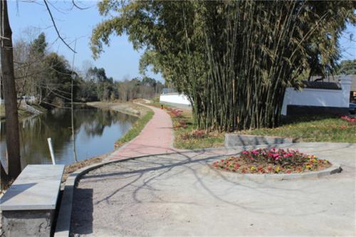 彭山区：河道网格化管理换来岸绿水清