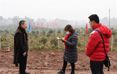 武胜县：建强主导产业助力乡村振兴