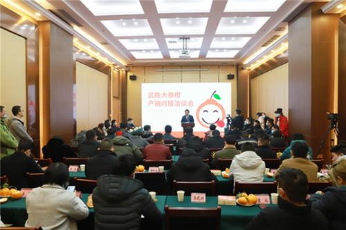 武胜县大雅柑吸引国内外知名采购商前来订购