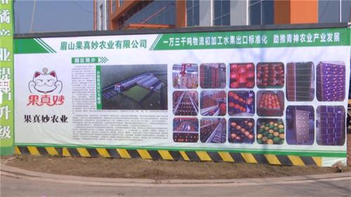 提质增效起好头 青神县冷链物流园月底投产