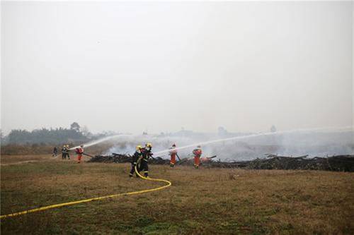 彭山区举行森林火灾应急演练