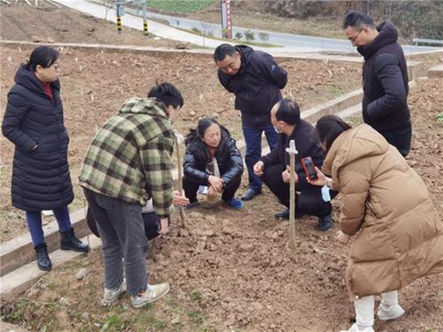 成都中医药大学专家组赴通江县考察