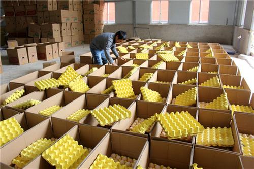 东兴区：打造水陆并进的“海军陆战”方阵