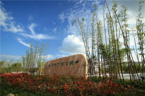 青神县:推动竹产业转型升级