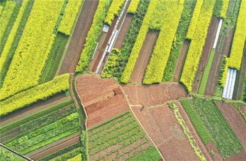 人勤春来早 彭山区抢抓农时备春耕