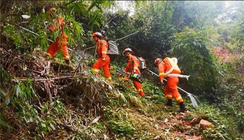 青神县：筑牢森林安全防护网