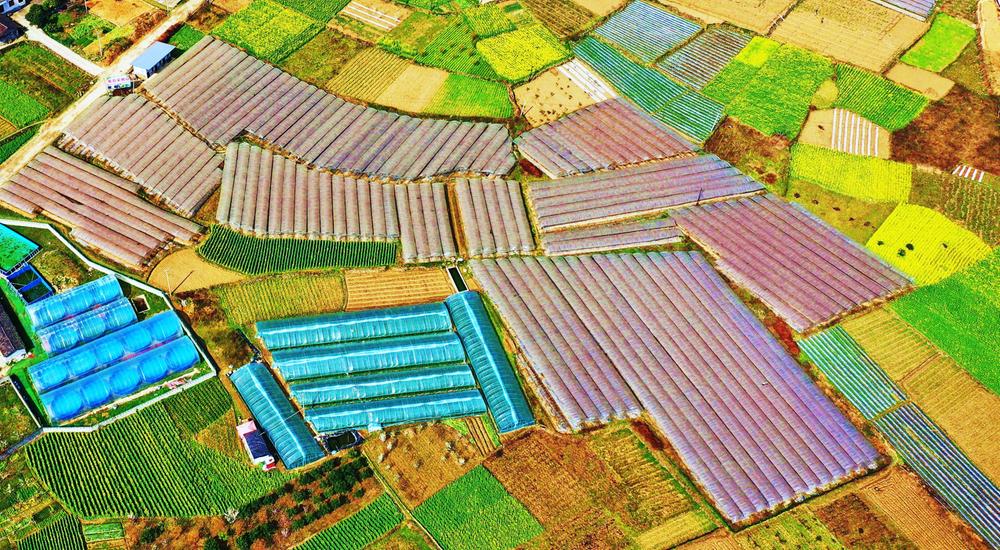 产业“绘”田园