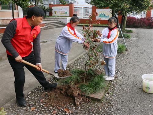 前锋区：代市小学志愿者开展义务植树活动