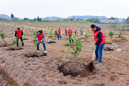 石笋镇：积极开展助耕活动