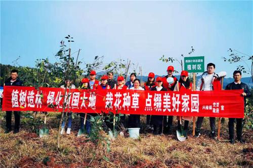 兴隆镇：组织开展义务植树活动